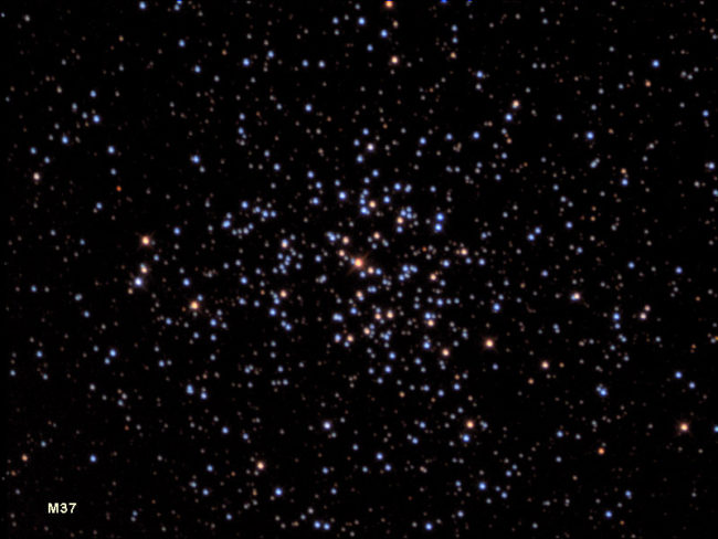 Image of M37, an open cluster.