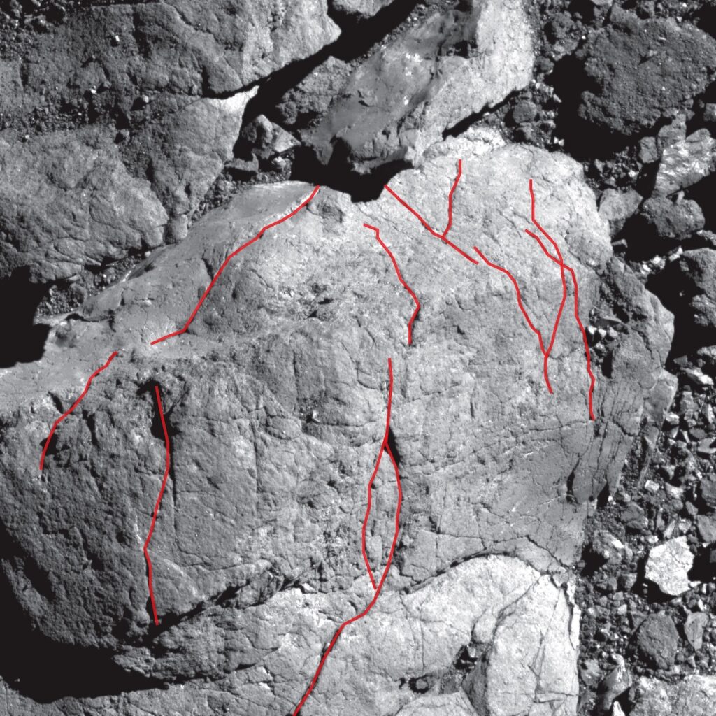 A rock with parallel cracks along it.
